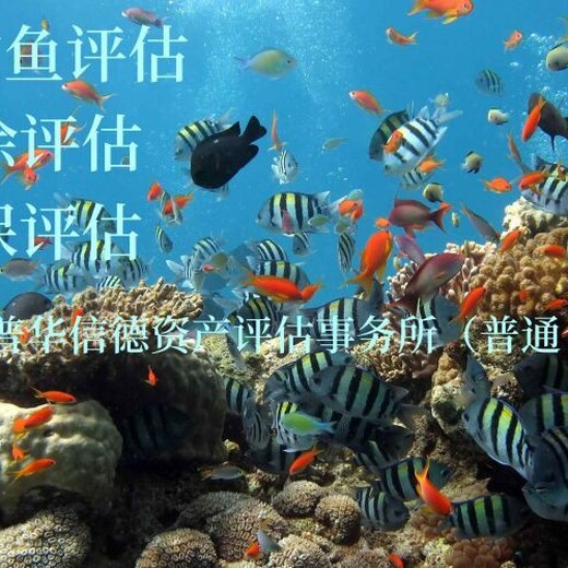 海南绿化树评估电话