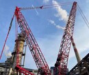 漳州55吨至800吨履带吊租赁服务电话图片
