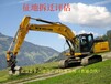 泰州綠化樹評估公司