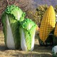 大型水果蔬菜白菜雕塑制作厂家产品图