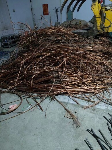 裸铜电缆线回收每米行情