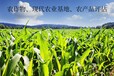 西安正規損失賠償評估公司