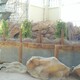 駁岸石設(shè)計(jì)圖