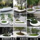 玻璃钢树池异形坐凳雕塑小品产品图