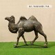 仿真玻璃钢骆驼雕塑图