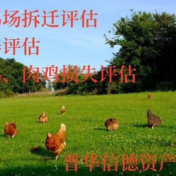漳州損失賠償評(píng)估多少錢一次
