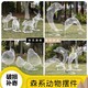 不銹鋼切面松鼠雕塑圖