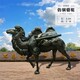 銷售玻璃鋼駱駝雕塑定制公司,駱駝文化主題雕塑圖