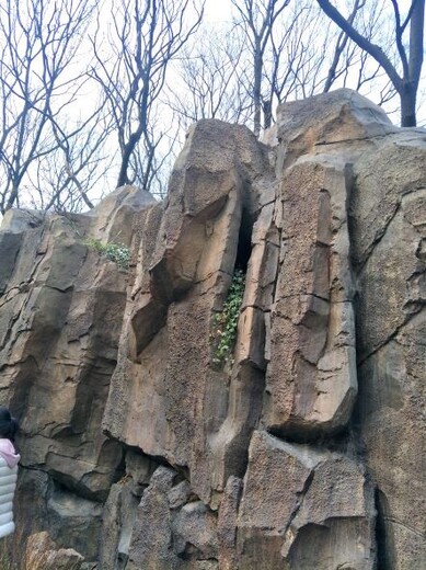 嘉兴生态园塑石假山