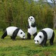 熊貓雕塑擺件圖
