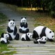 不锈钢大熊猫雕塑厂家图