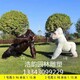 金剛大猩猩雕塑加工廠家產品圖
