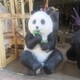 玻璃钢大熊猫雕塑加工图