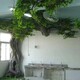 聯系電話圖