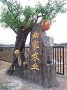 滁州仿真桃花樹(shù)聯(lián)系電話(huà)