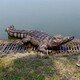 仿真玻璃鋼鱷魚雕塑圖
