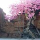 平頂山仿真水泥樹圖