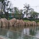 聯(lián)系電話圖