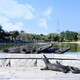 樹脂動物鱷魚雕塑圖