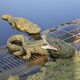 動物鱷魚雕塑模型圖