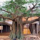 聯系電話圖