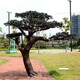 聯(lián)系電話圖