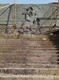 水泥雕塑價(jià)格圖