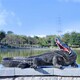 樹脂鱷魚雕塑定制圖