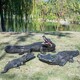 四川玻璃钢鳄鱼雕塑产品图