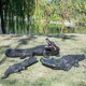 動物鱷魚雕塑定制廠家圖