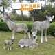 毛驢雕塑圖