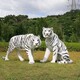 玻璃钢动物老虎雕塑厂家图