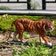 仿真老虎雕塑圖