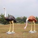 大型鸵鸟雕塑图