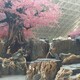 假樹市場(chǎng)圖