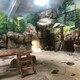 駁岸石施工團隊圖