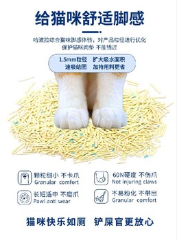 南昌哈波拉猫砂长期供货,膨润土猫砂