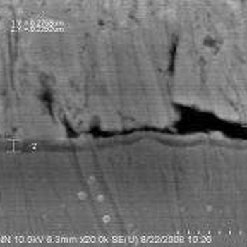 SEM+EDS分析专业第三方检测-CANS资质EDS检测