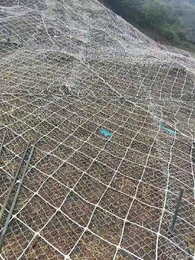 主动防护网植被