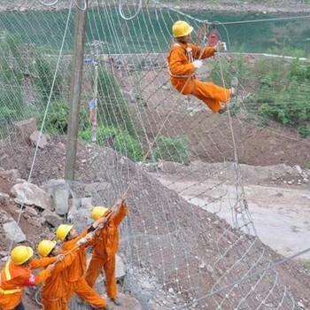 主動防護網防護工廠