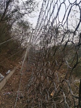 福建主動防護網批發價格