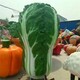 玻璃鋼大白菜雕塑圖