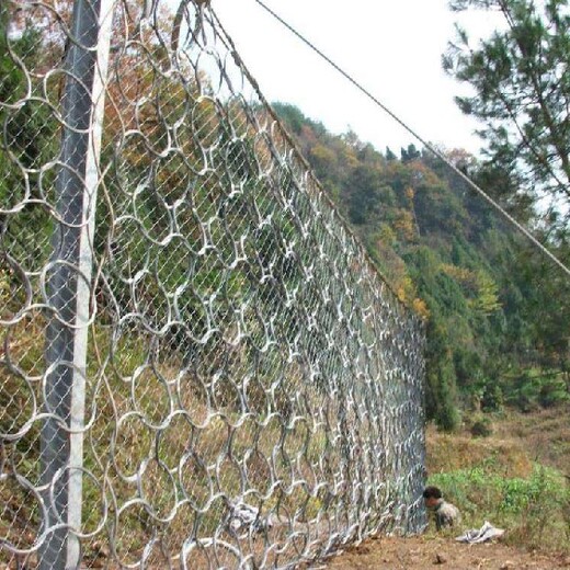 青海主动防护网多少钱一平米