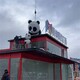 四川金屬不銹鋼熊貓雕塑工廠產(chǎn)品圖