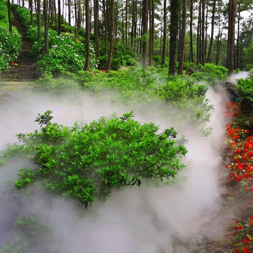 广元景观高压喷雾设备水雾环保一对一生产