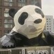 动物园不锈钢熊猫雕塑图
