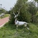 定制不锈钢鹿雕塑，动物雕塑小品