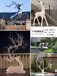 不锈钢鹿雕塑，动物雕塑造型