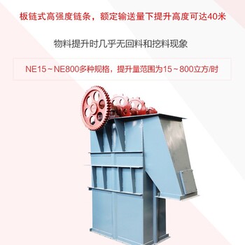 斗式糧食輸送機NE板鏈斗式提升機