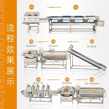 小型净菜加工流水线中央厨房净菜加工流水线预制菜前处理设备